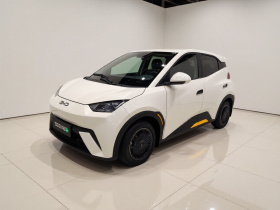 比亚迪 海鸥 2025款 305km 活力版