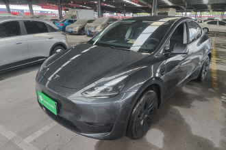 特斯拉 Model Y 2024款 后轮驱动版