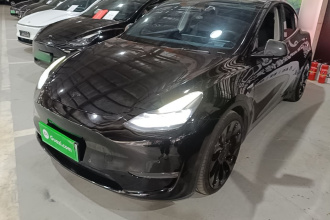 特斯拉 Model Y 2021款 Performance高性能全轮驱动版
