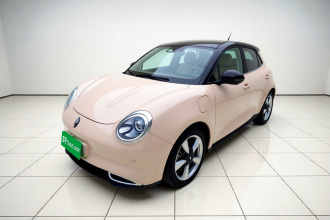 欧拉好猫 2021款 400km标准续航 雅典娜版 三元锂