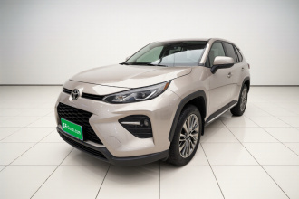 丰田 威兰达 2020款 2.0L CVT两驱尊贵版