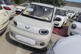 五菱汽车 宏光MINIEV 2024款 第三代 215km 青春版