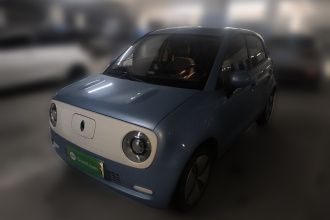 欧拉黑猫 2021款 301km 萌宠版