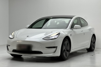 特斯拉 Model 3(进口) 2019款 长续航后驱版