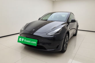 特斯拉 Model Y 2024款 后轮驱动版