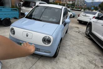 欧拉黑猫 2021款 351km 标准型