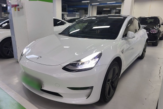 特斯拉 Model 3(进口) 2019款 长续航后驱版
