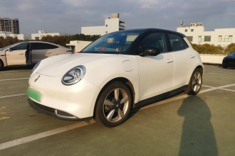 欧拉好猫 2021款 400km标准续航 维纳斯版 磷酸铁锂