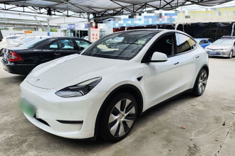 特斯拉 Model Y 2021款 标准续航后驱版