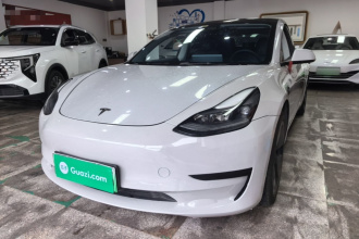特斯拉 Model 3 2021款 改款 标准续航后驱升级版 3D1