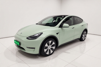 特斯拉 Model Y 2021款 标准续航后驱版