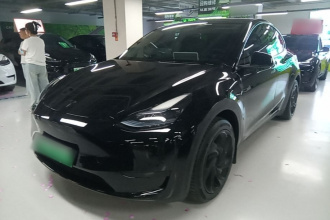 特斯拉 Model Y 2022款 后轮驱动版