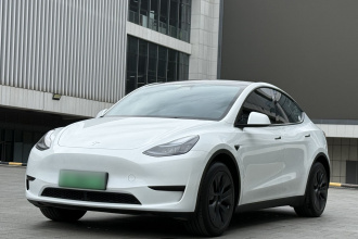 特斯拉 Model Y 2024款 后轮驱动版
