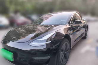 特斯拉 Model 3 2020款 改款 长续航后轮驱动版