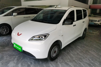 五菱汽车 五菱宏光新能源 2024款 纯电版 300KM 标准型