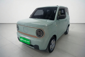 吉利银河 2024款 熊猫mini 200km 耐力熊