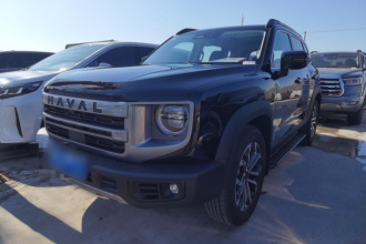 哈弗大狗 2024款 1.5T DCT边牧版