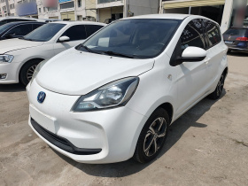 长安 奔奔E-Star 2021款 国民版 心怡版 三元锂