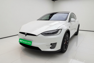特斯拉 Model X 2019款 长续航版