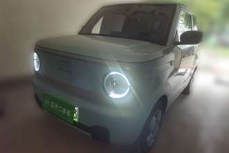 吉利银河 2023款 熊猫mini 200km 耐力熊