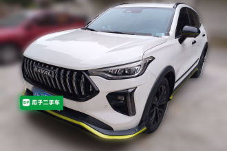 哈弗赤兔 2021款 激擎版 1.5T 黄金兔