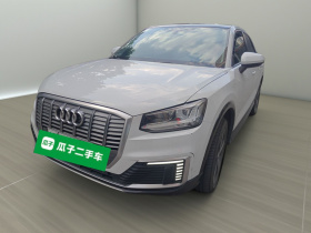 奥迪Q2L e-tron 2019款 Q2L e-tron 纯电智享型