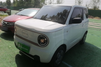 吉利银河 2023款 熊猫mini 200km 耐力熊