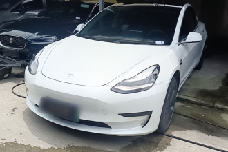 特斯拉 Model 3 2020款 改款 标准续航后驱升级版
