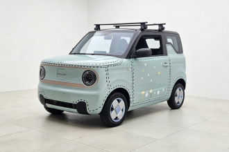 吉利银河 2023款 熊猫mini 200km 耐力熊