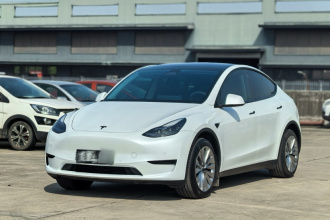 特斯拉 Model Y 2023款 后轮驱动版