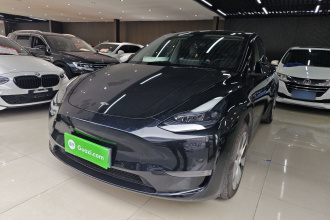 特斯拉 Model Y 2022款 改款 长续航全轮驱动版