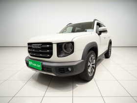 哈弗大狗 2021款 1.5T DCT两驱边牧版