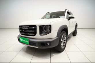 哈弗大狗 2021款 1.5T DCT两驱边牧版