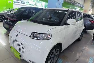 欧拉白猫 2020款 305km 豪华型
