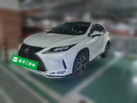 雷克萨斯RX 2020款 改款 300 四驱F SPORT
