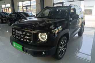 哈弗大狗 2022款 1.5T DCT两驱边牧版