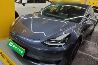 特斯拉 Model 3(进口) 2019款 长续航后驱版