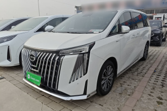 广汽传祺 传祺M8 2024款 大师系列 400T 尊贵版