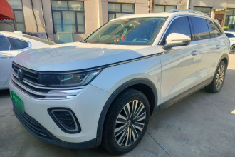 大众 揽巡 2023款 330TSI 豪华巡逸版