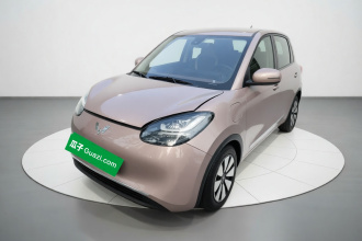 五菱汽车 五菱缤果 2023款 333km 悦享+款