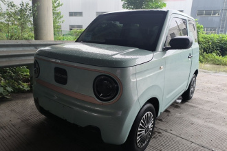 吉利银河 2023款 熊猫mini 200km 耐力熊