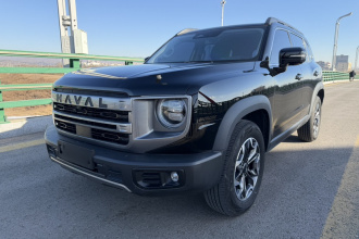 哈弗大狗 2024款 2.0T DCT中华田园犬版