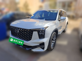 广汽传祺 传祺GS8 2025款 领航系列 2.0TGDI 两驱豪华版 5座