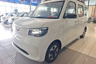 五菱汽车 五菱之光新能源 2025款 305km 进取型