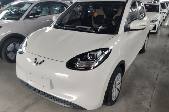 五菱汽车 五菱缤果 2023款 203km 轻享款