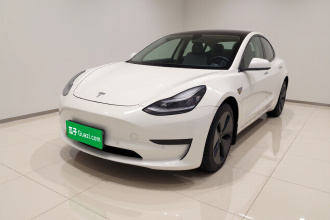特斯拉 Model 3 2020款 标准续航后驱升级版