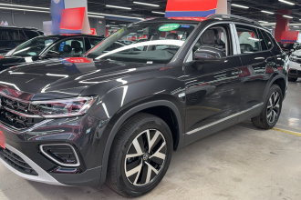 大众 探岳 2026款 3000万辆甄选款 300TSI