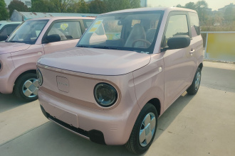 吉利银河 2024款 熊猫mini 200km 耐力熊