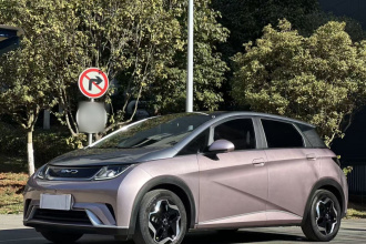 比亚迪 海豚 2021款 405km 时尚版