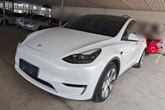 特斯拉 Model Y 2022款 改款 长续航全轮驱动版